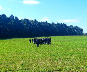 Grupa policjantów idąca w stronę lasu podczas poszukiwań