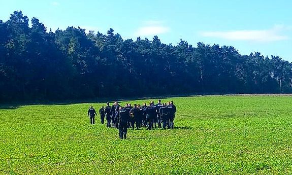 Grupa policjantów idąca w stronę lasu podczas poszukiwań