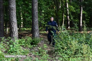 Policjant podczas poszukiwań, rozglądający i poruszający się po lesie wśród drzew