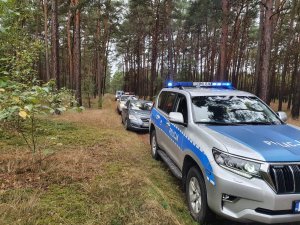 Kilka radiowozów zaparkowanych jeden za drugim na drodze leśnej.&quot;&gt;