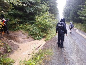 Miejscowi policjanci pomagali przy wyjściu szlaku na szosę i kierowali turystów w miejsce katastrofy