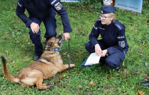 Pies służbowy leżący przy umundurowanych policjantach.