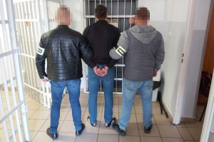 dwaj nieumundurowani policjanci, z opaskami na ramieniu z napisem Policja, trzymają zatrzymanego skutego kajdankami. Wokół widać okratowane drzwi