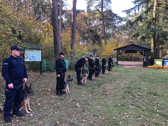 przewodnicy z psami służbowymi