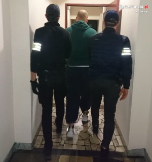 zdjęcie kolorowe: dwóch nieumundurowanych policjantów prowadzących mężczyznę podejrzanego o usiłowania zabójstwa 81-letniej kobiety