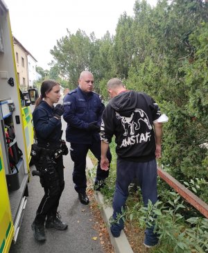 Umundurowana czeska policjantka oraz umundurowany polski policjant dokonujący kontroli mężczyzny w dresie na tle zieleni ulicznej
