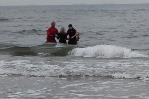 policjant, ratownik WOPR i strażak pomagają dziewczynie wyjść z wody