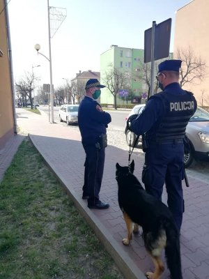 dwóch policjantów z psem