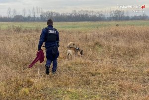 Na zdjęciu widoczny policjant w kamizelce z napisem: Przewodnik psa służbowego, wraz z psem podczas tropienia. Policjant trzyma w ręku bordowy sweter należący do zaginionej