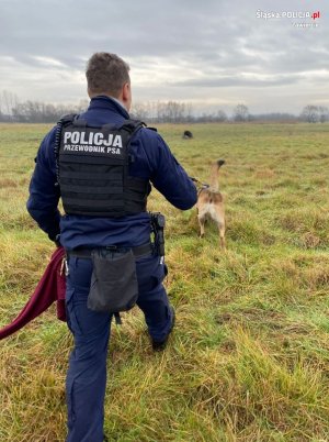 Na zdjęciu widoczny policjant w kamizelce z napisem: Przewodnik psa służbowego, wraz z psem podczas tropienia. Policjant trzyma w ręku bordowy sweter należący do zaginionej