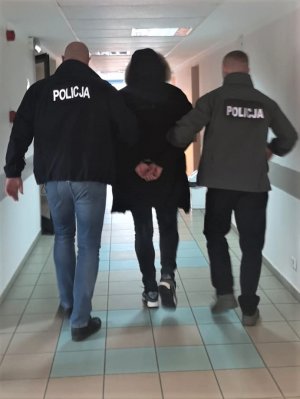 policjanci w kurtkach z napisem Policja na plecach prowadzą zatrzymanego - widok z tyłu