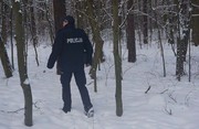 policjant biorący udział w akcji poszukiwawczej w lesie