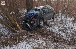 pośród krzaków stoi ciemny samochód z rozbitym przodem