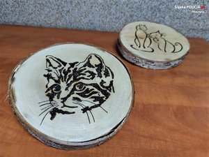 Zdjęcie kolorowe: widoczne dwa plastry drewna, na jednym z nich wypalony wzór kota, a na drugim obrys dwóch kotów, małego i dużego
