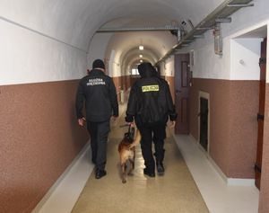 Policyjny pies służbowy wraz z przewodnikiem oraz funkcjonariusz służby ochrony więziennictwa.