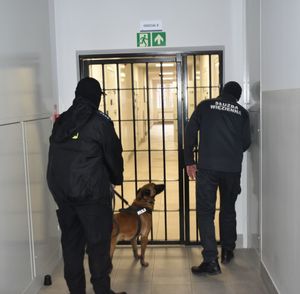 Policyjny pies służbowy wraz z przewodnikiem w celi mieszkalnej zakładu karnego.