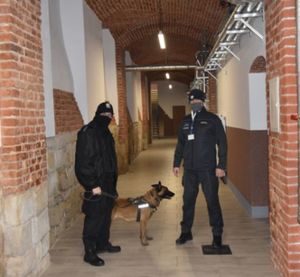 Policyjny pies służbowy wraz z przewodnikiem oraz funkcjonariusz służby ochrony więziennictwa.