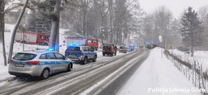 Pojazdy policji i innych służb stojące wzdłuż ośnieżonej drogi