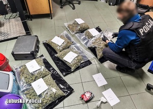 Nieumundurowany policjant podczas oględzin zabezpieczonych narkotyków