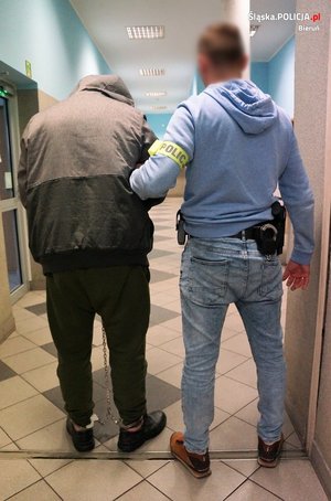 Zdjęcie wykonane w pionie. W korytarzu komendy tyłem stoi nieumundurowany policjant (po prawej stronie), który trzyma podejrzanego mężczyznę pod rękę. Policjant ma na ramieniu opaskę odblaskową z napisem POLICJA. Podejrzany ma założone kajdanki zespolone, na pochylonej w dół głowie ma założony kaptur z kurtki