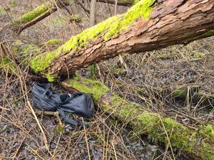 zabezpieczone plecaki na ternie lasu