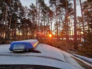 radiowóz policyjny na tle lasu i wschodzącego słońca