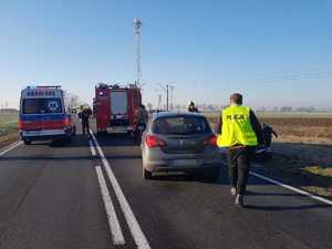 widok na pojazdy służb ratunkowych stojące na drodze i pracujących na miejscu policjantów i strażaków