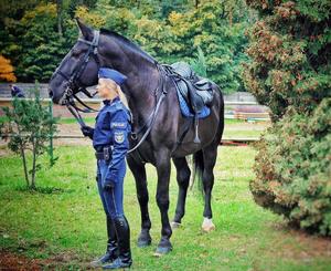 koń policyjny Jard stoi obok policjantki