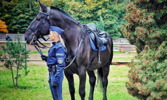 koń policyjny Jard stoi obok policjantki