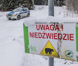 radiowóz na ośnieżonej drodze na pierwszym planie tabliczka uwaga niedźwiedzie