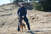 policjant w trakcie szkolenia z psem służbowym