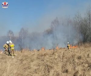 strażacy podczas gaszenia pożaru traw