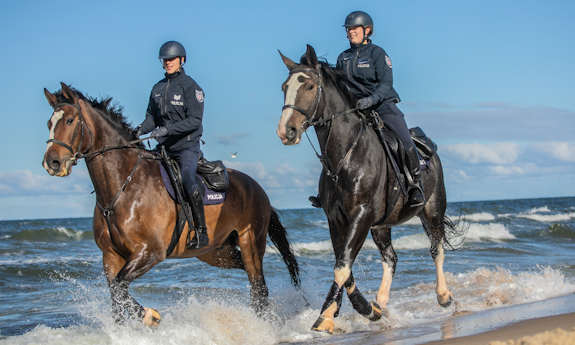 Zbliżenie na dwoje policjantów na koniach patrolujących plażę.
