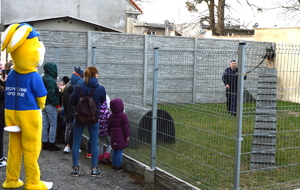 pokaz tresury psa służbowego