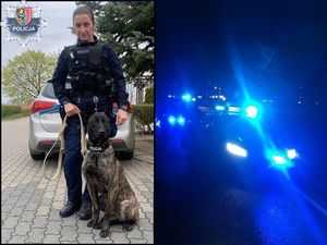 zdjęcie podzielone na dwie części. Z lewej strony widać policjantkę z psem, z prawej policyjny radiowóz na sygnałach nocną porą