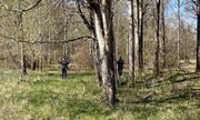policjanci chodzą po lesie i szukają zaginionego dziecka