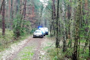 policyjne radiowozy w trakcie pościgu za mężczyzną w lesie