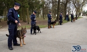 policjanci z psami służbowymi
