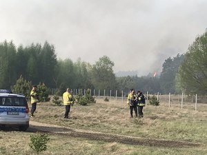 strażacy. w tle płonący las