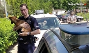 policjant z psem na rękach