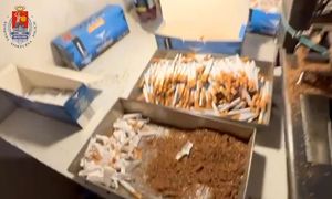 papierosy produkowane przez maszynę wpadają do pudełka