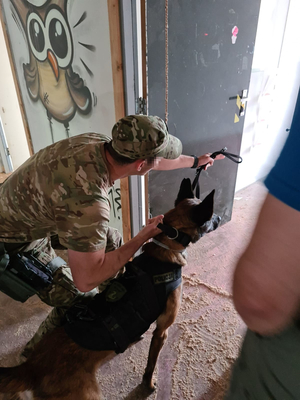 Kontrterrorysta wydający komendę psu służbowemu podczas ćwiczeń