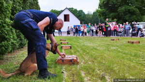Na trawniku rozłożone niewielkie skrzynki, przy jednej z nich siedzi (oznacza) policyjny pies trzymany za obrożę przez swojego przewodnika. W oddali grupa osób oglądająca pokaz.