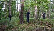 policjanci prowadzą poszukiwania  w lesie