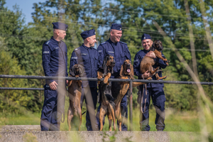 na zdjęciu czterech umundurowanych policjantów na łące, jeden z nich trzyma psa służbowego na rękach. Pozostałe psy stoją oparte o barierki