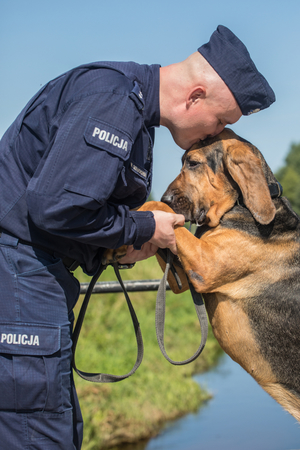 umundurowany policjant z psem służbowym