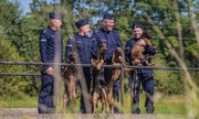 na zdjęciu czterech umundurowanych policjantów na łące, jeden z nich trzyma psa służbowego na rękach. Pozostałe psy stoją oparte o barierki