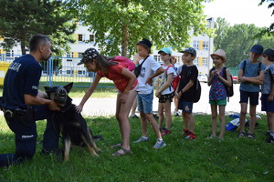 Policjant przewodnik psa służbowego z psem służbowym, którego głaskają dzieci.
