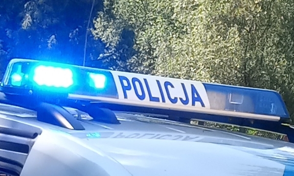 sygnalizator świetlny z napisem policja na dachu radiowozu