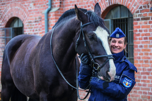 policjantka trzyma za uzdę łeb konia służbowego